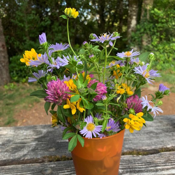 Meet your Posher, April - Picture 5 of 5